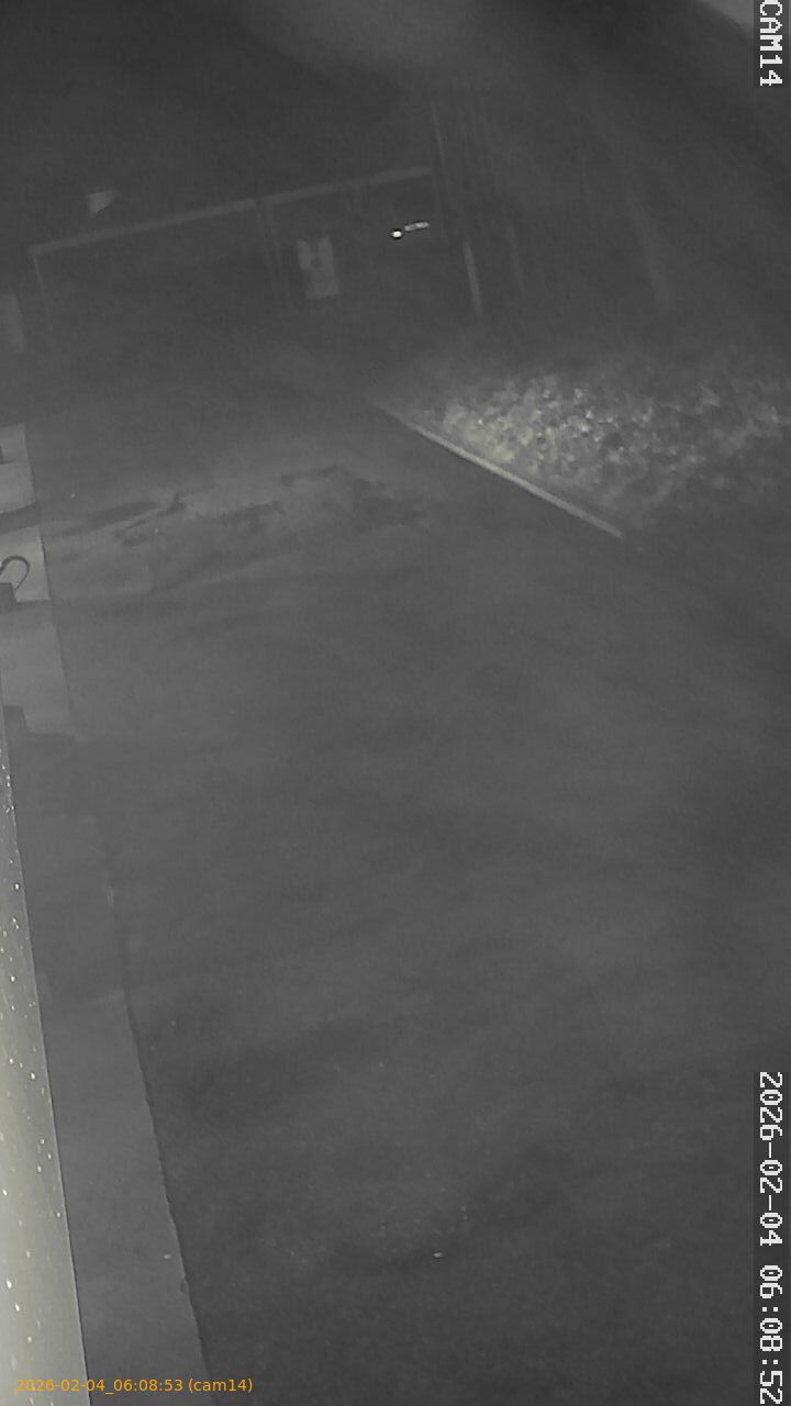 thumbnail_20260204060853