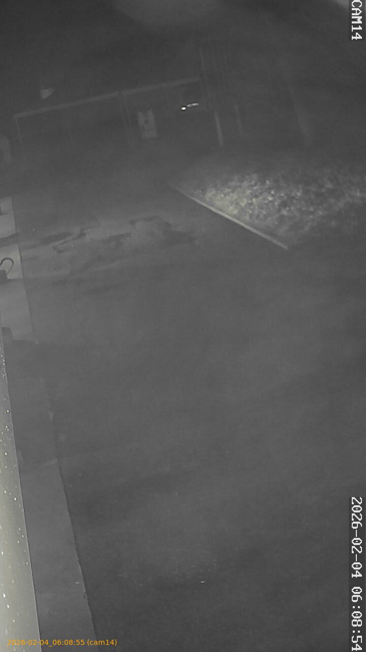 thumbnail_20260204060855