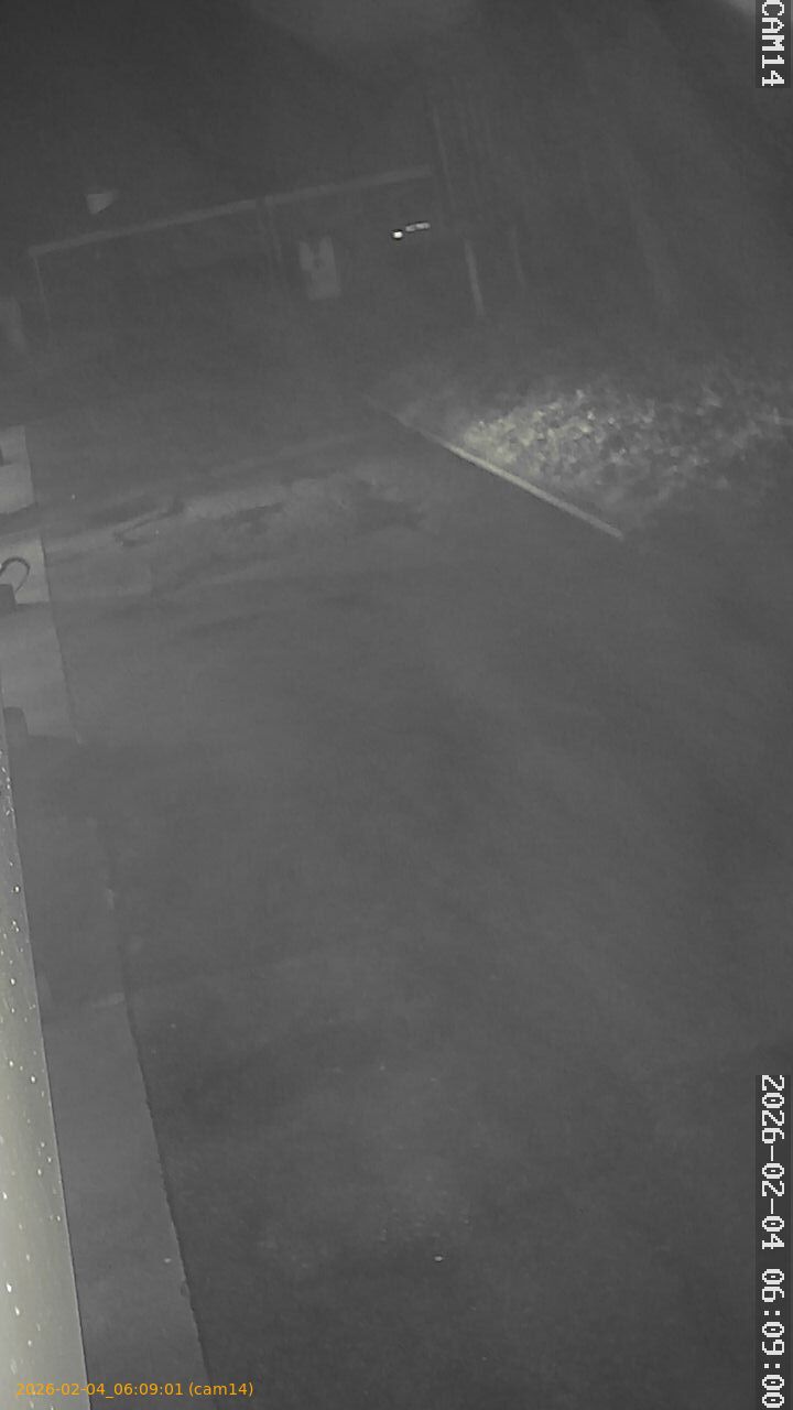 thumbnail_20260204060901