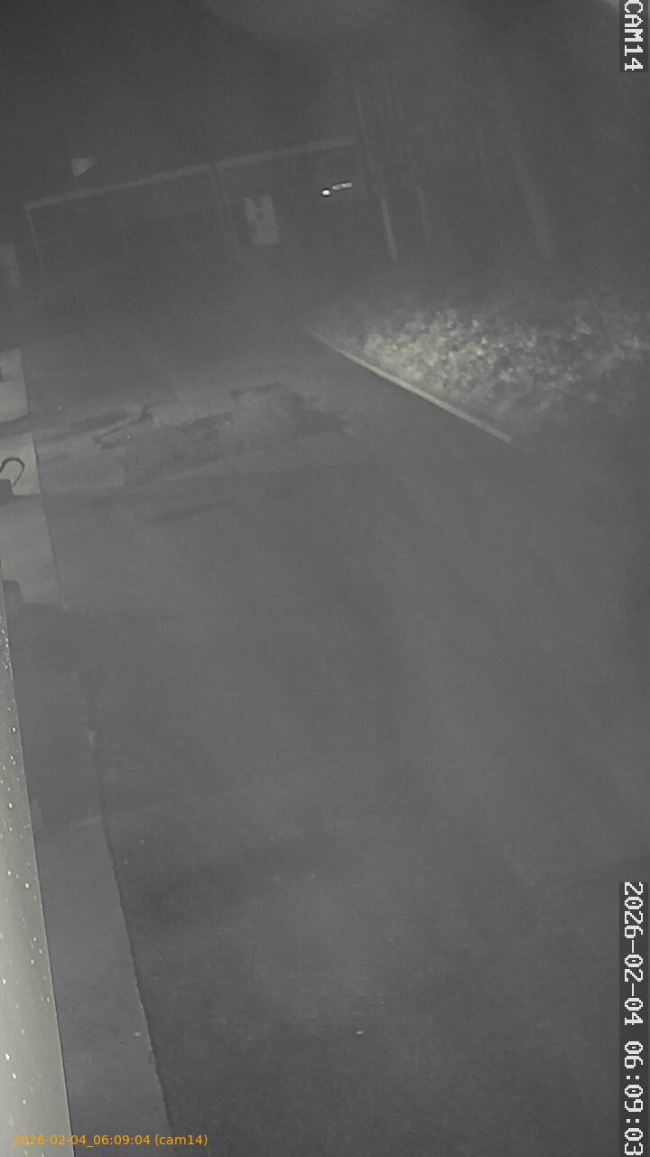 thumbnail_20260204060904