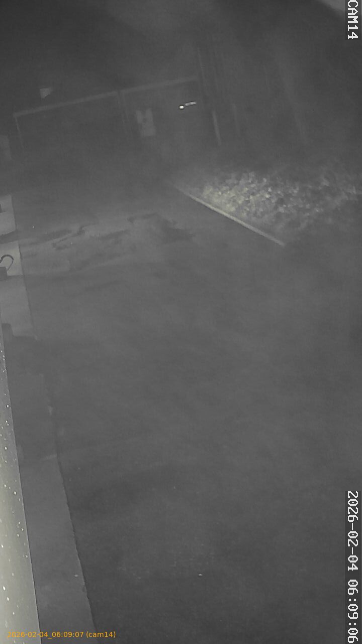 thumbnail_20260204060907