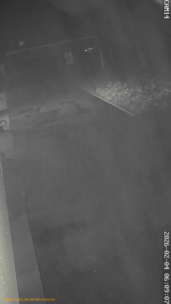 thumbnail_20260204060908