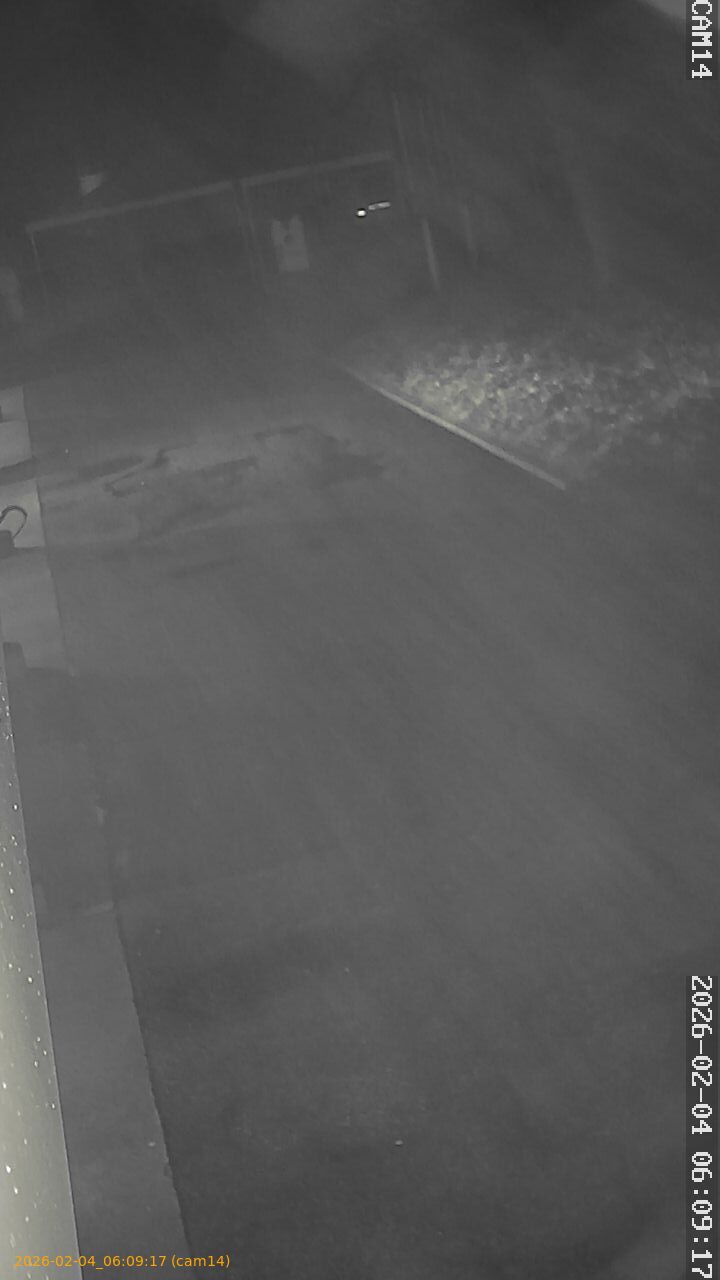 thumbnail_20260204060917