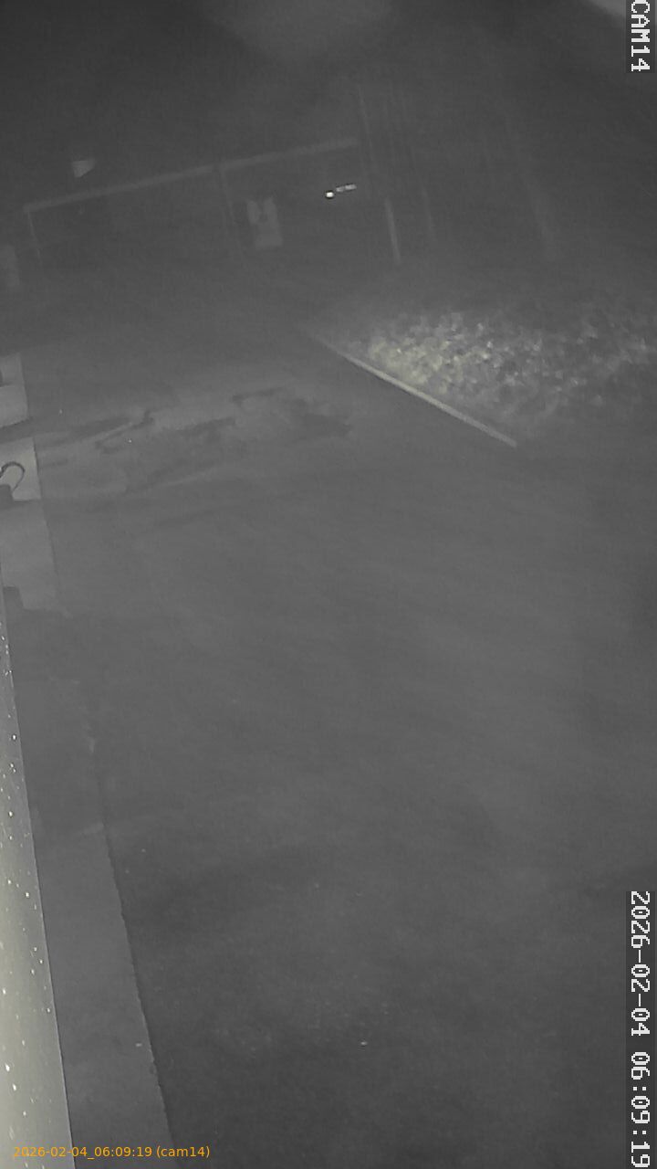 thumbnail_20260204060919