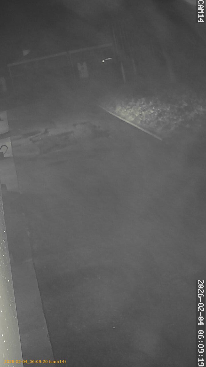 thumbnail_20260204060920