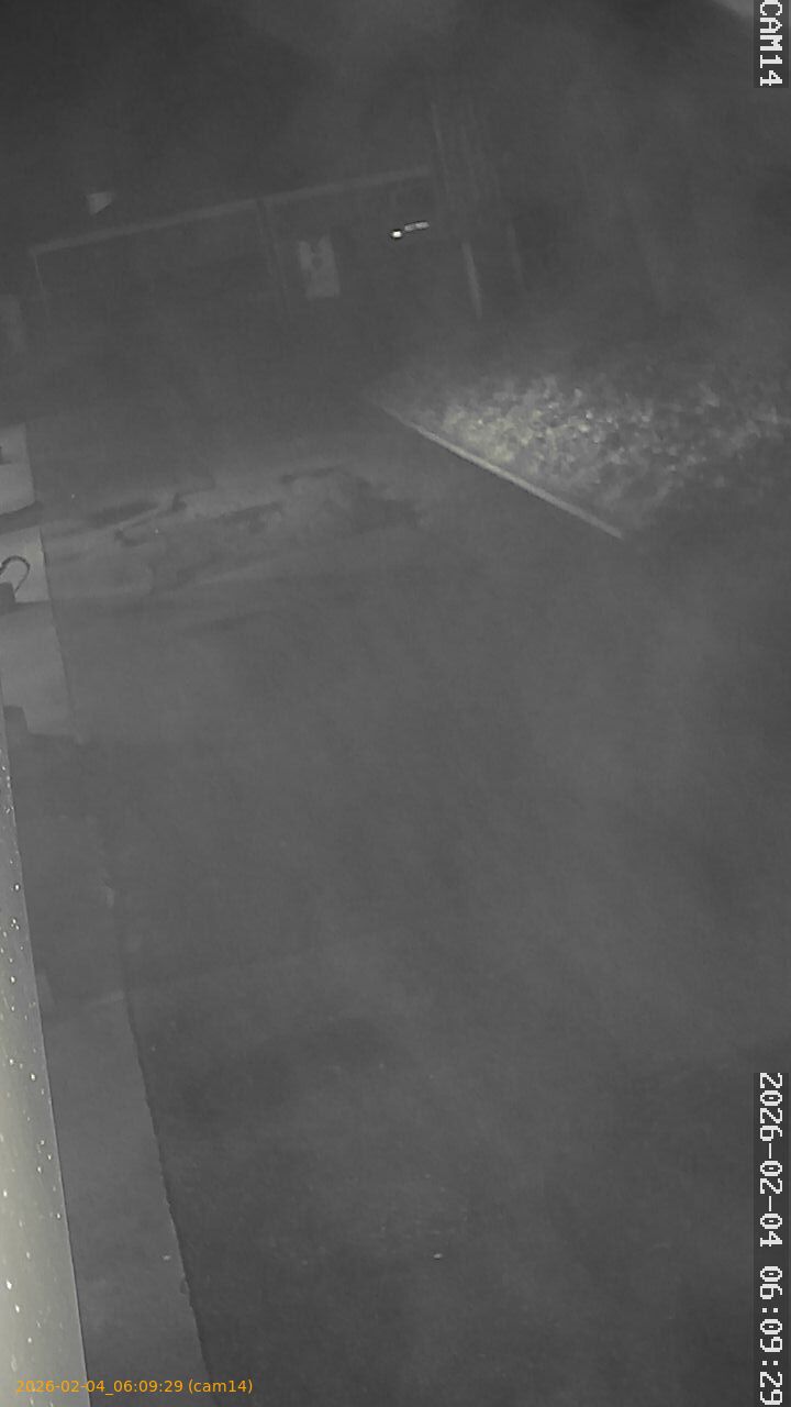 thumbnail_20260204060929