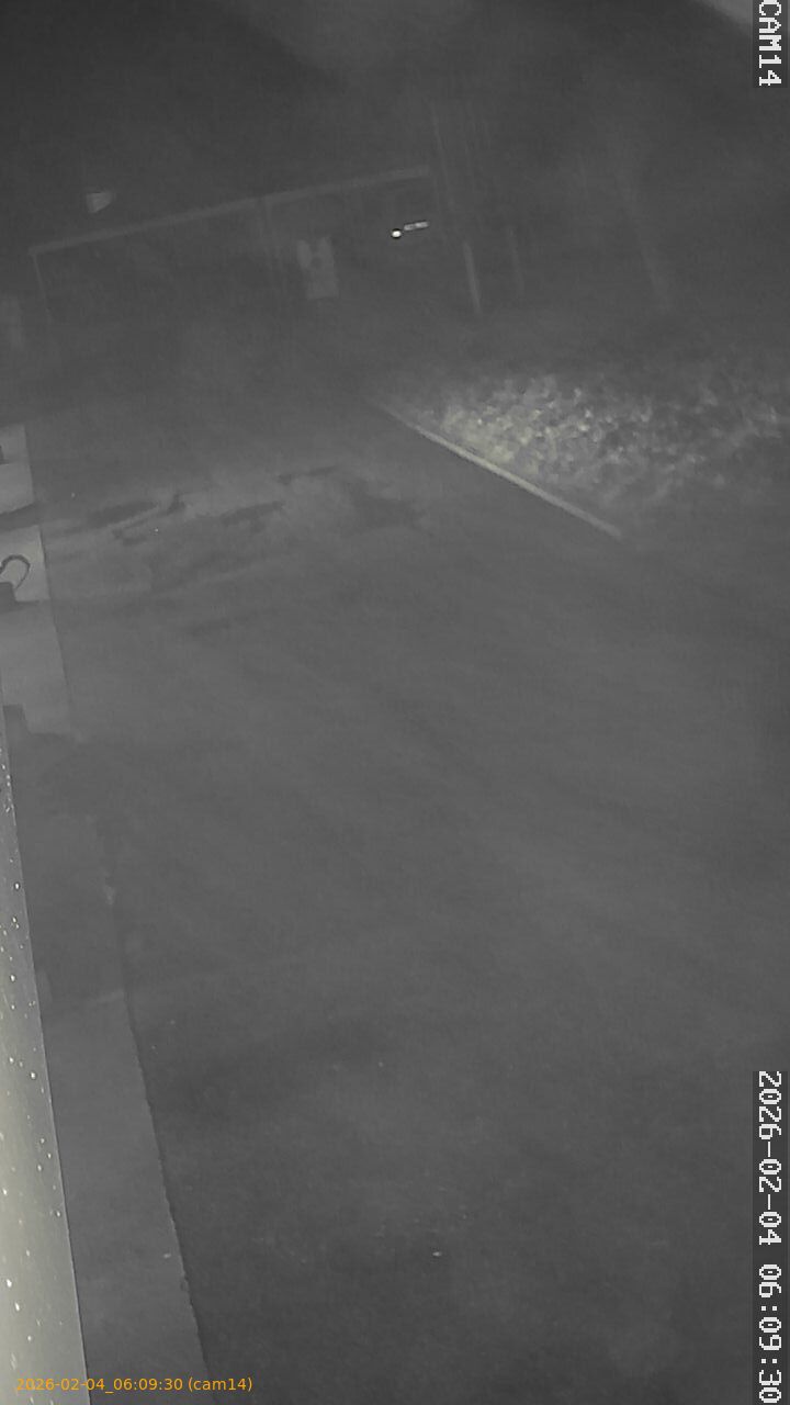 thumbnail_20260204060930