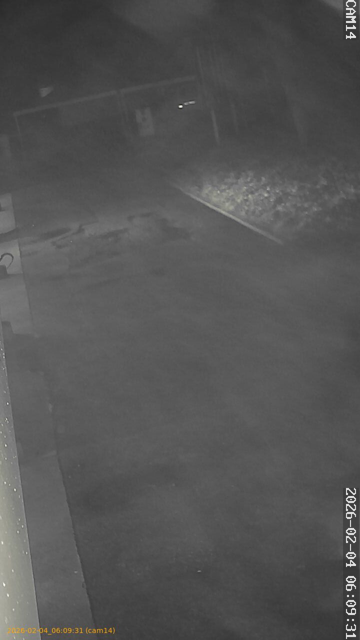 thumbnail_20260204060931