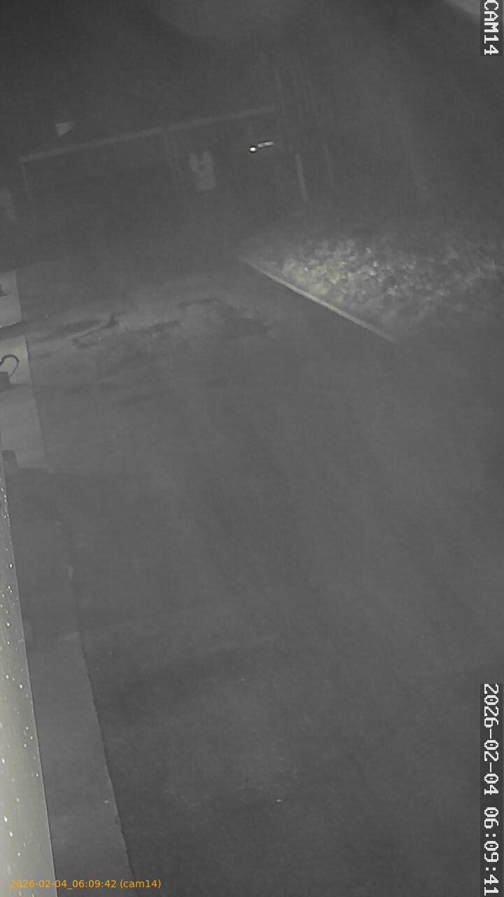 thumbnail_20260204060942