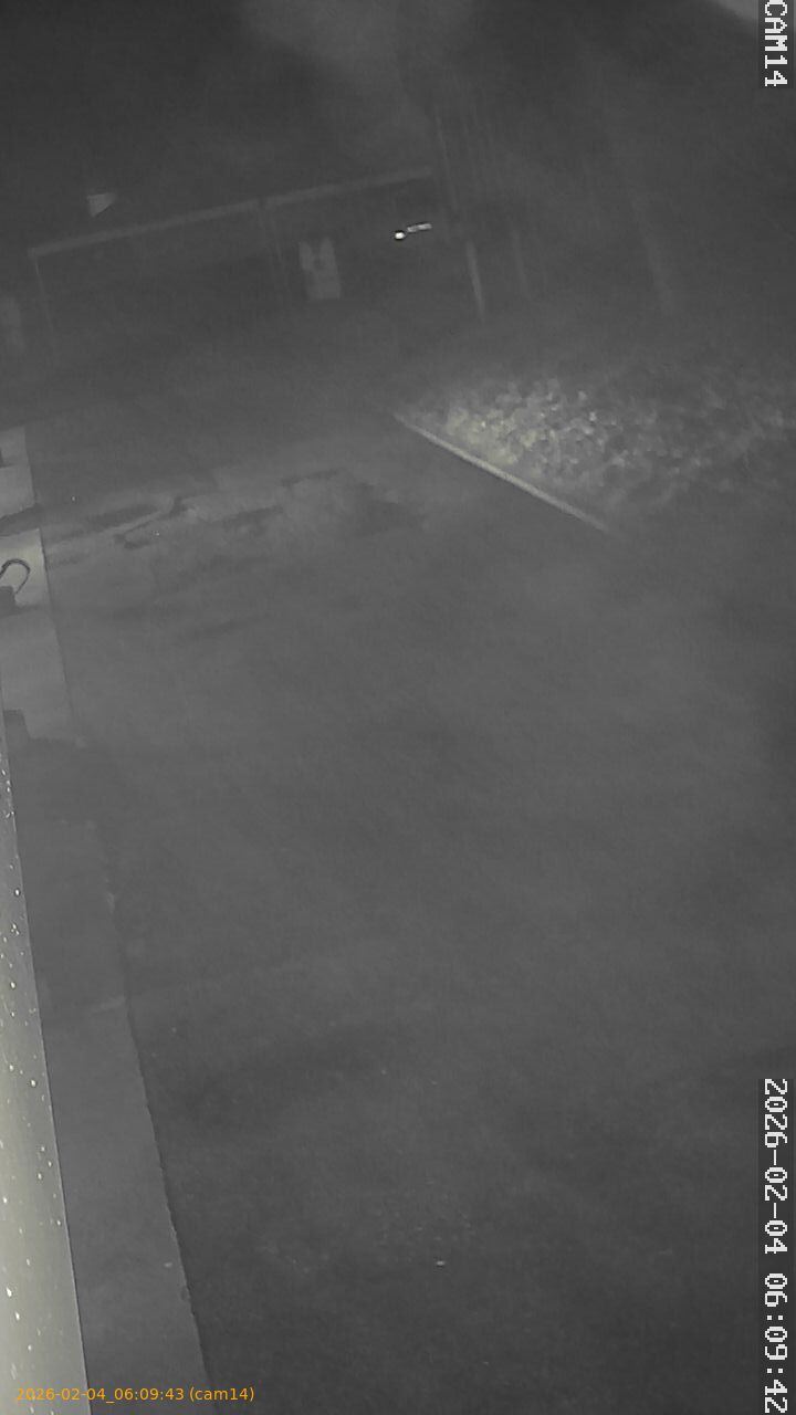 thumbnail_20260204060943