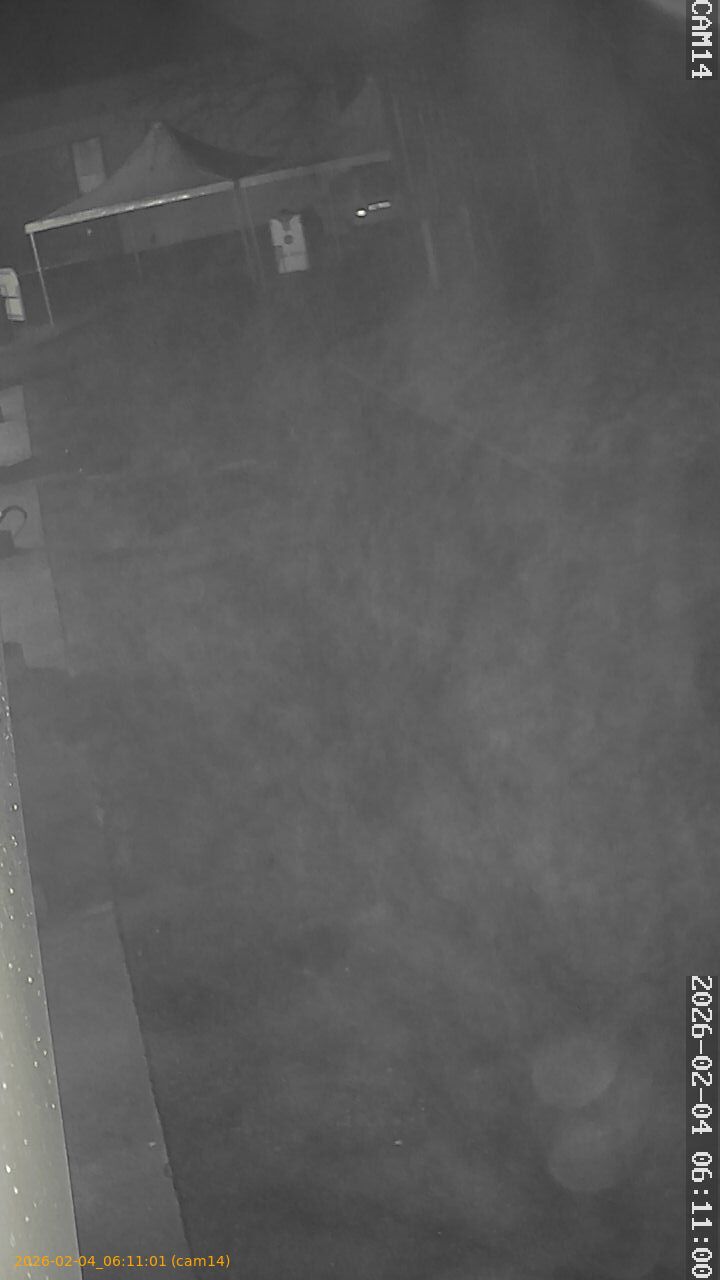 thumbnail_20260204061101