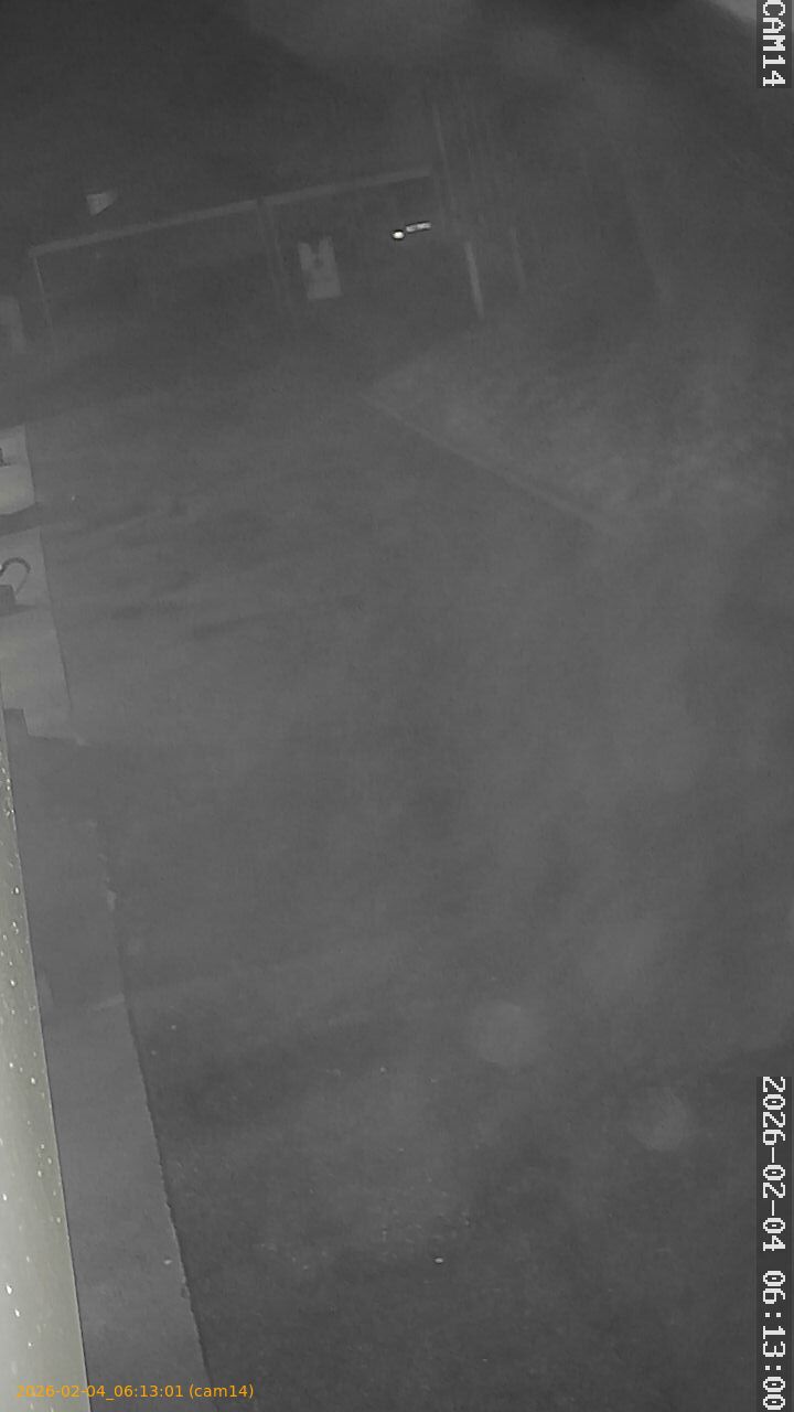 thumbnail_20260204061301