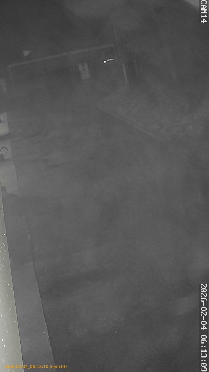 thumbnail_20260204061310