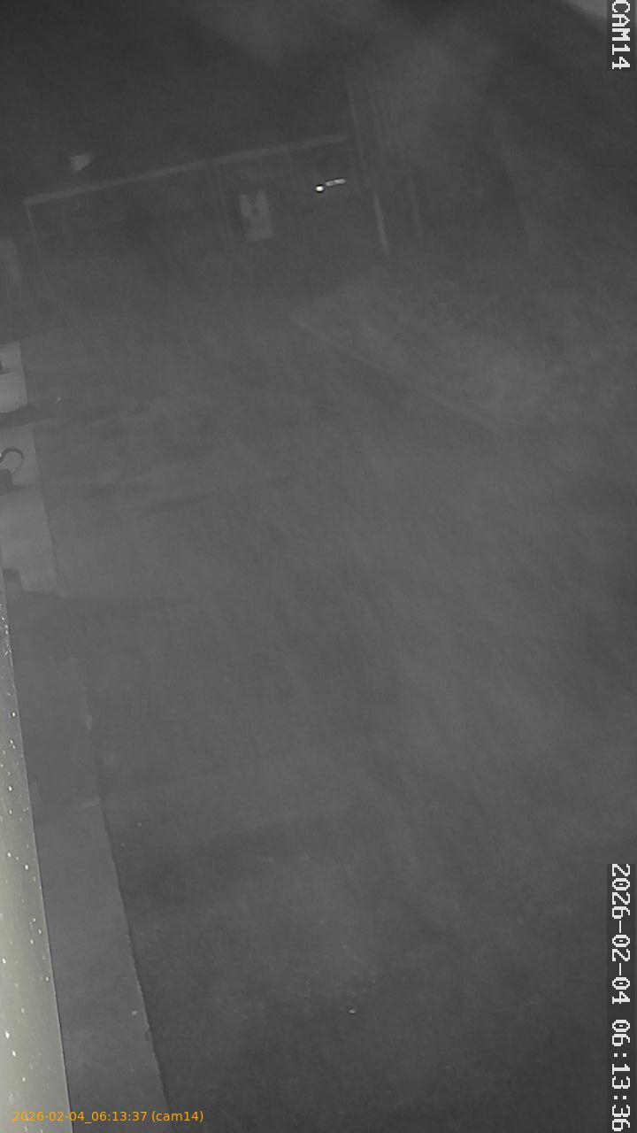 thumbnail_20260204061337