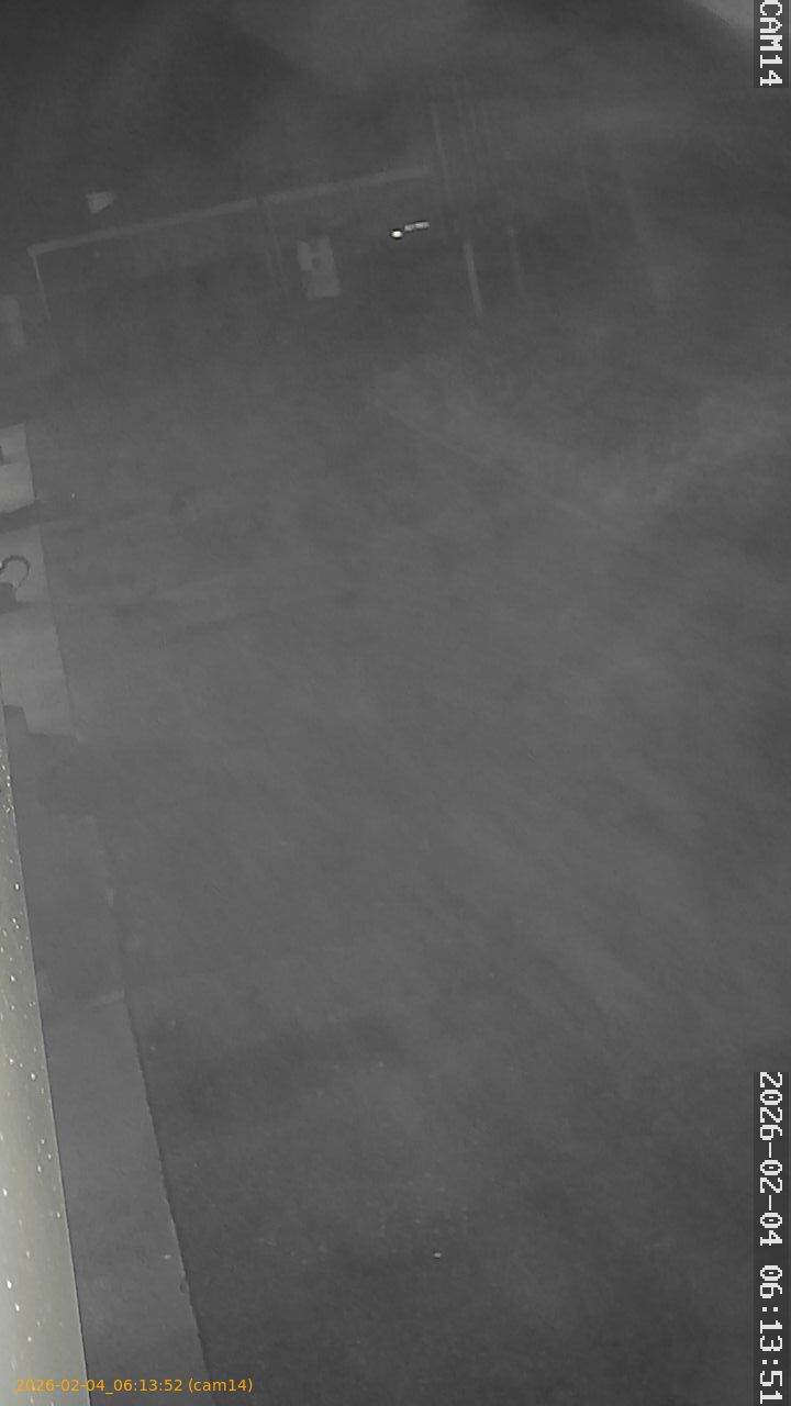 thumbnail_20260204061352