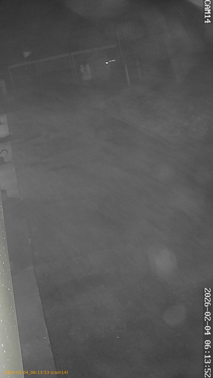 thumbnail_20260204061353