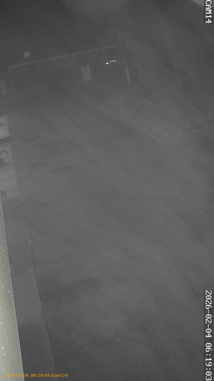 thumbnail_20260204061904