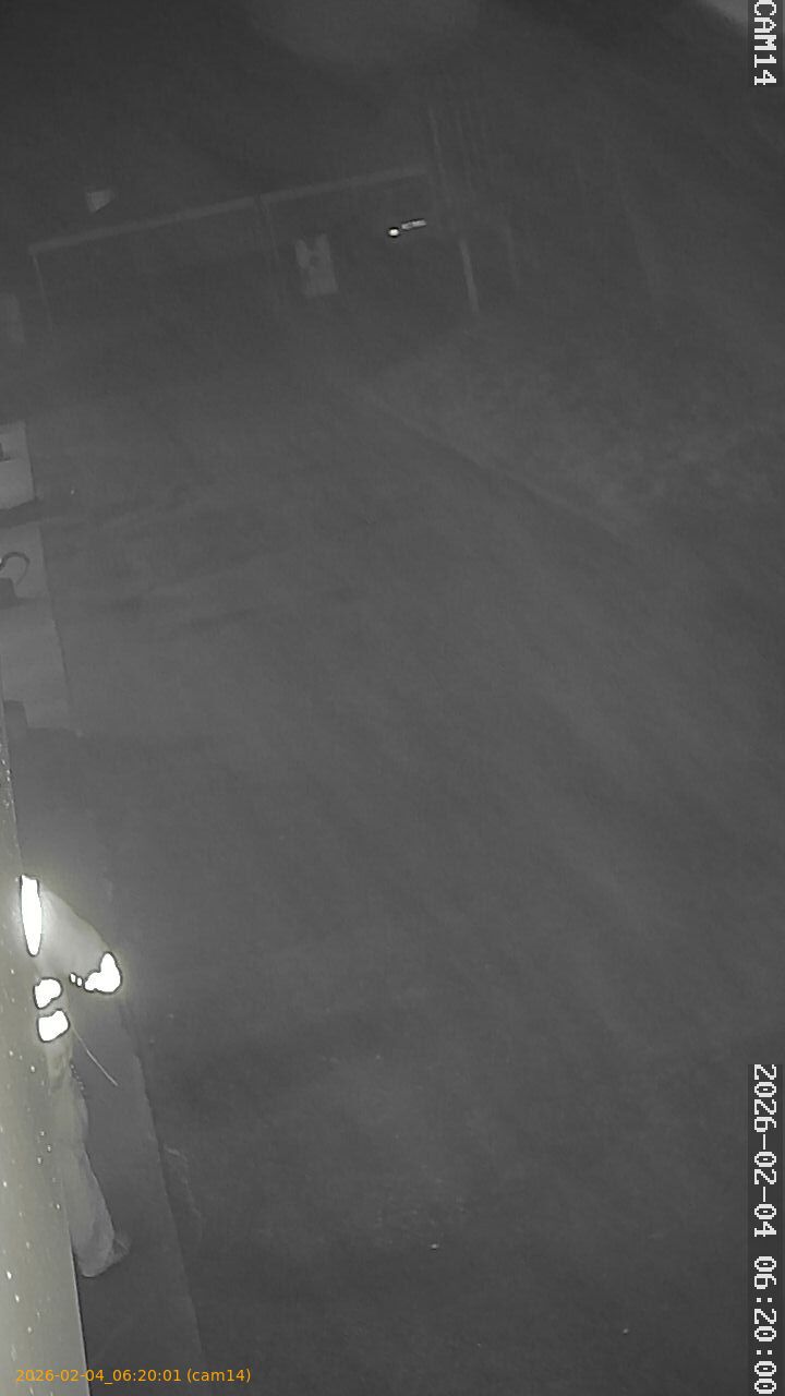 thumbnail_20260204062001