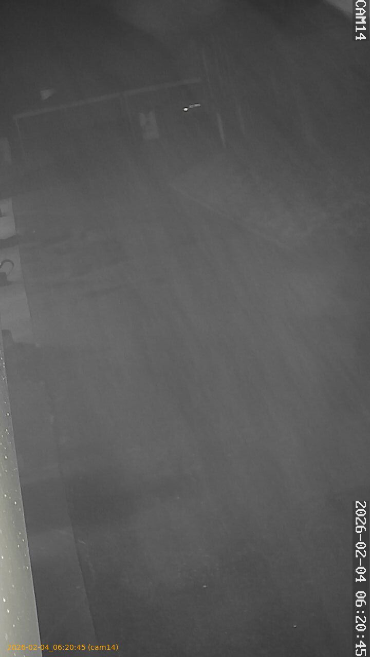 thumbnail_20260204062045