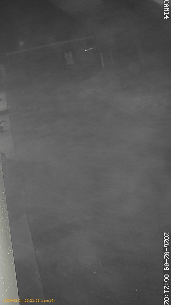 thumbnail_20260204062103