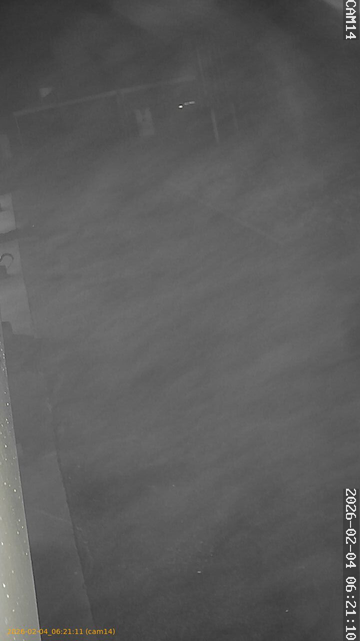 thumbnail_20260204062111