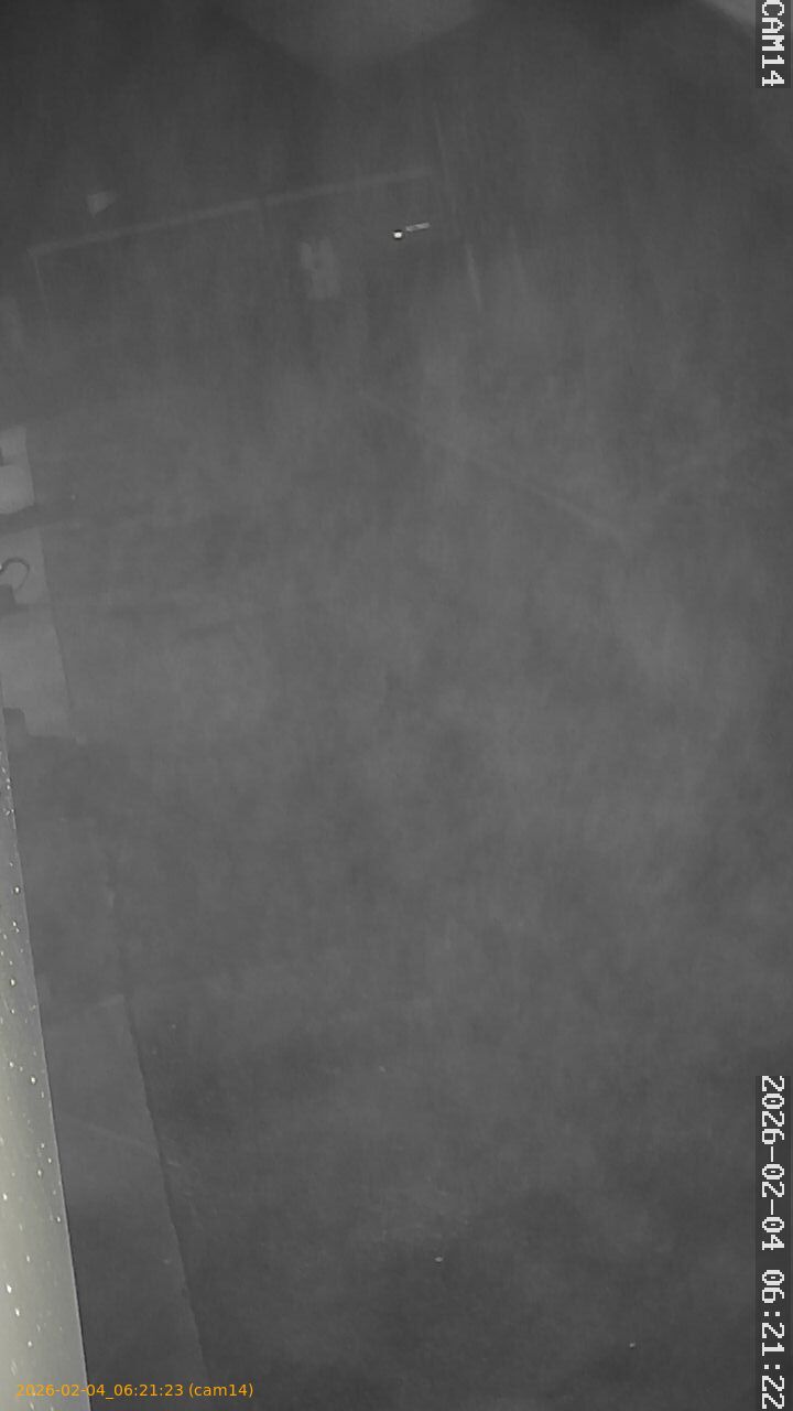 thumbnail_20260204062123