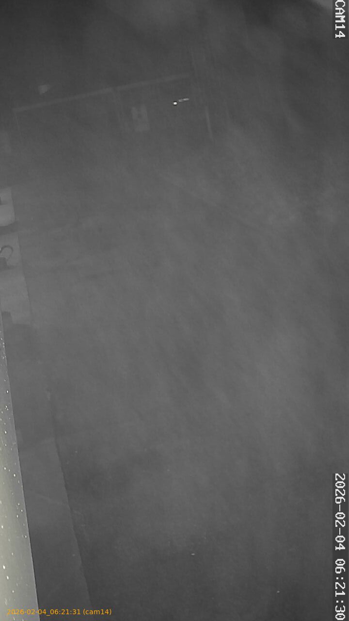 thumbnail_20260204062131