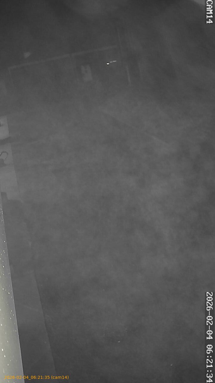 thumbnail_20260204062135