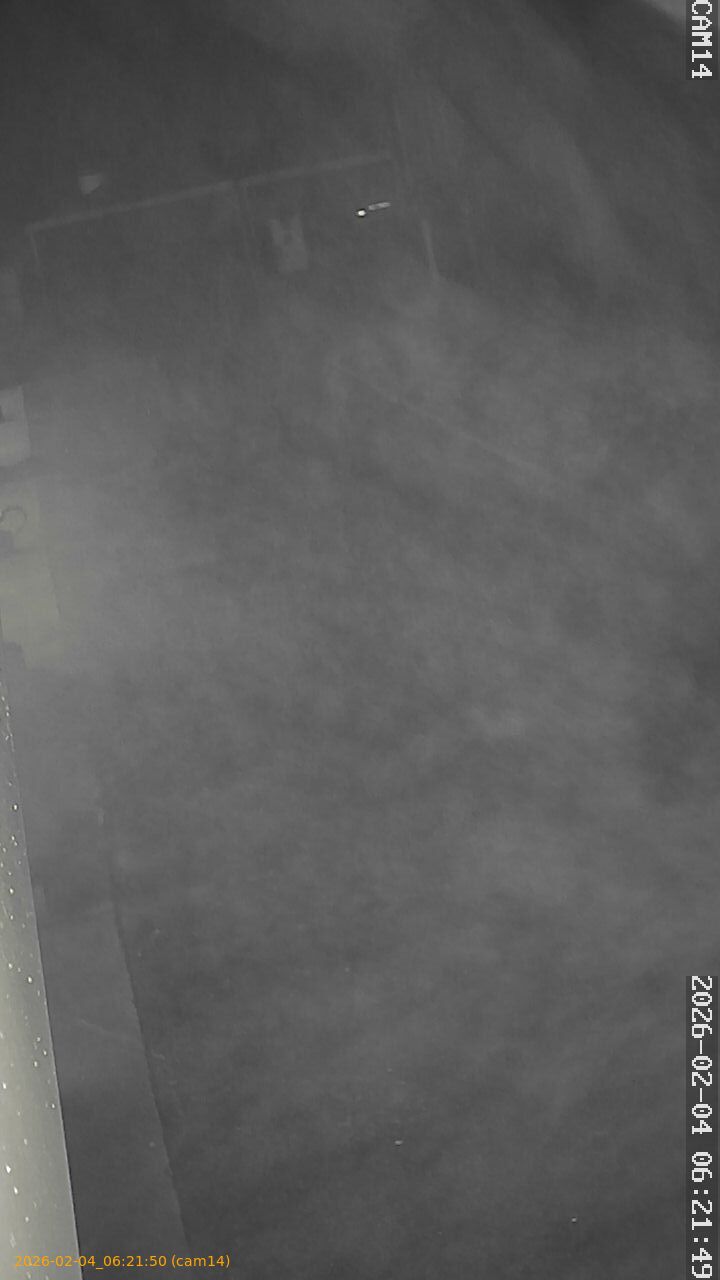 thumbnail_20260204062150