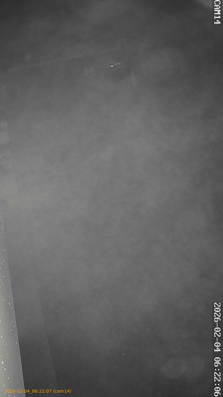 thumbnail_20260204062207