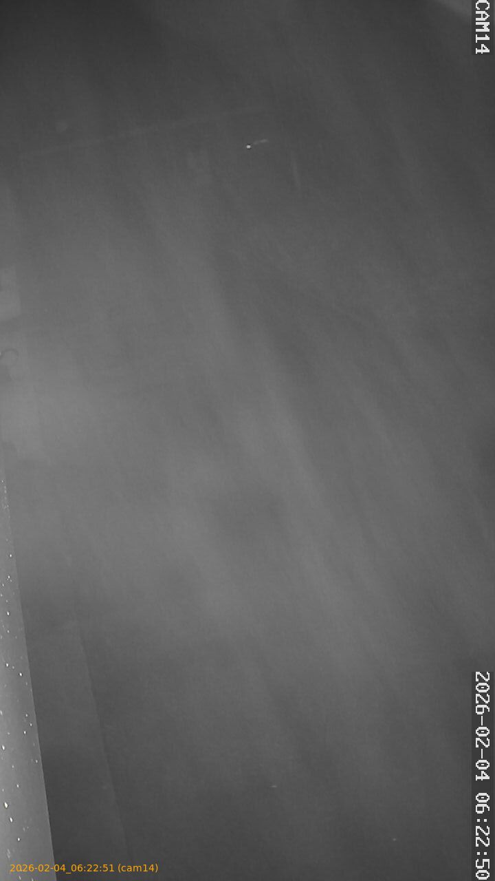 thumbnail_20260204062251