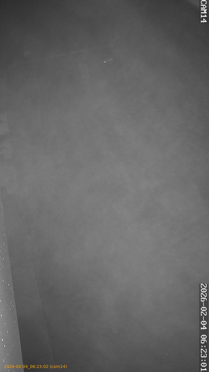 thumbnail_20260204062302