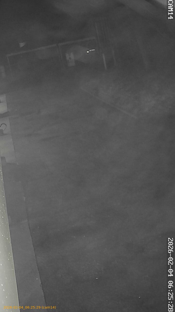 thumbnail_20260204062529