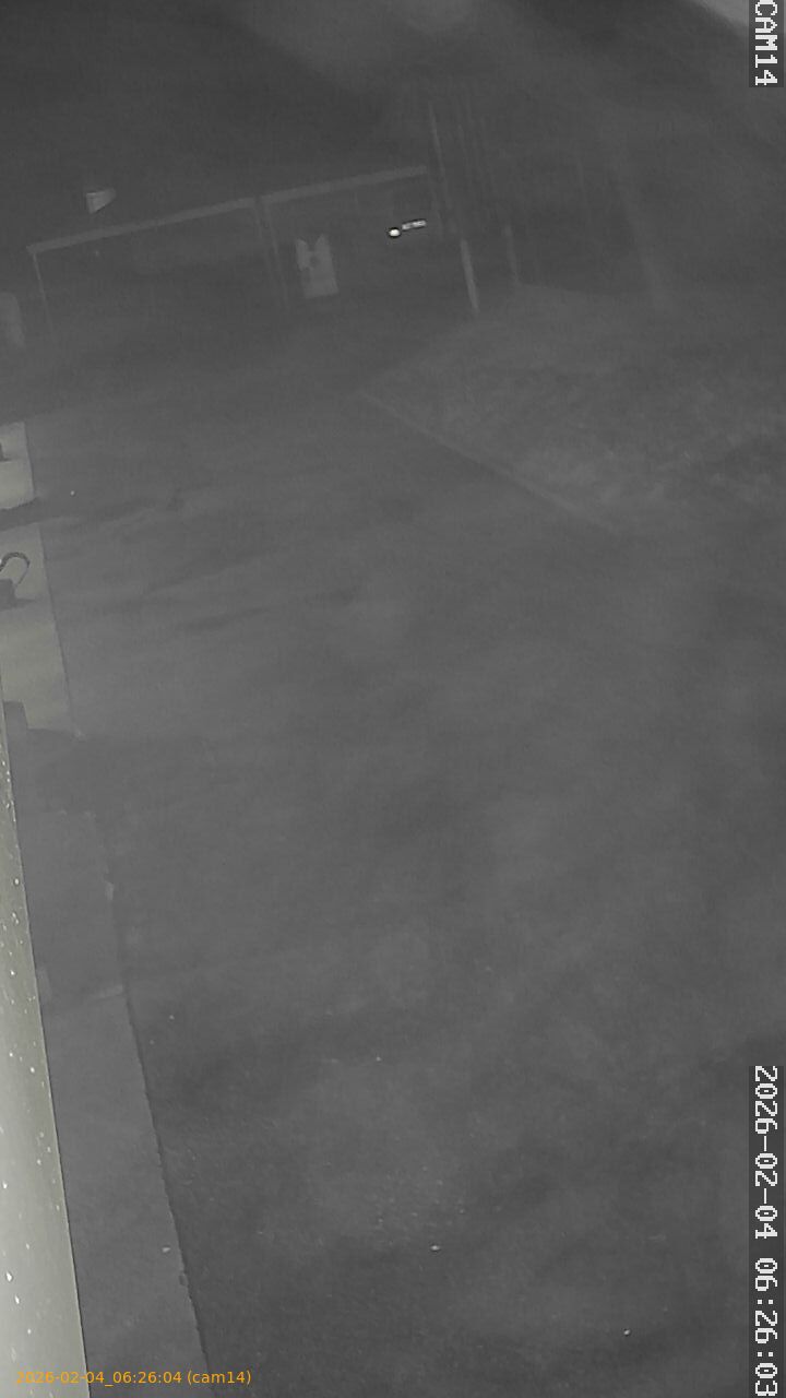 thumbnail_20260204062604