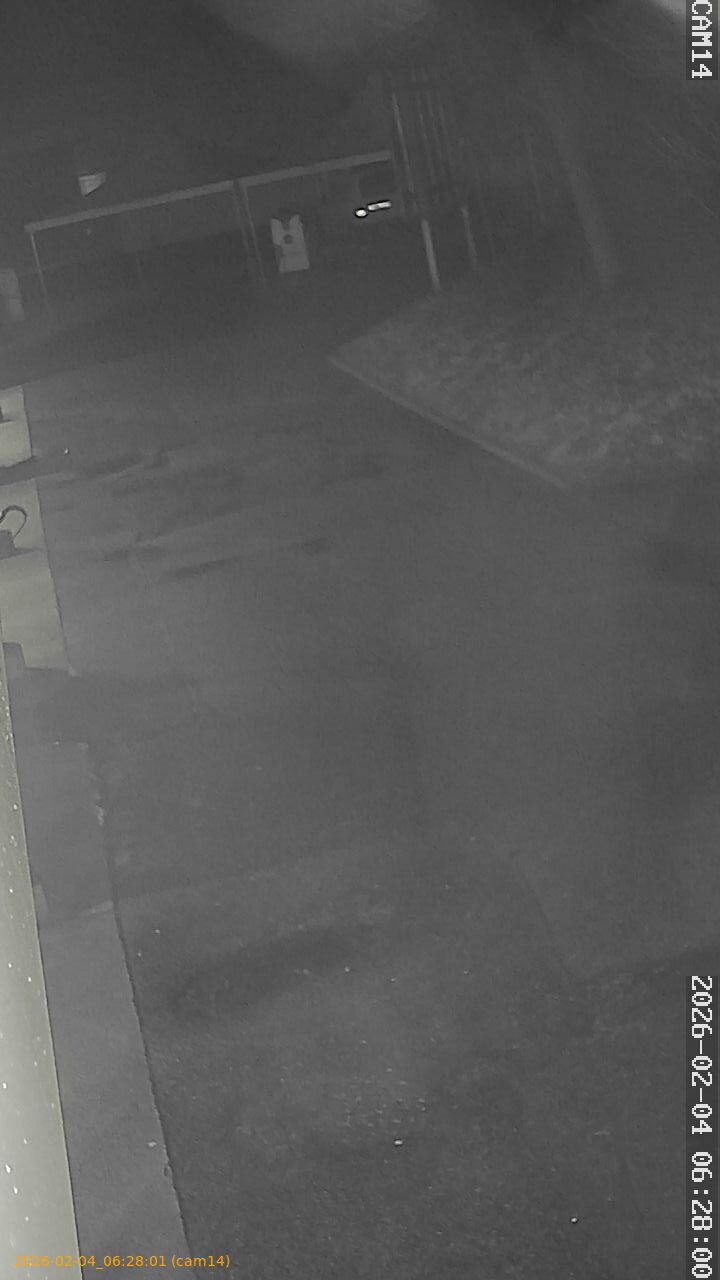 thumbnail_20260204062801