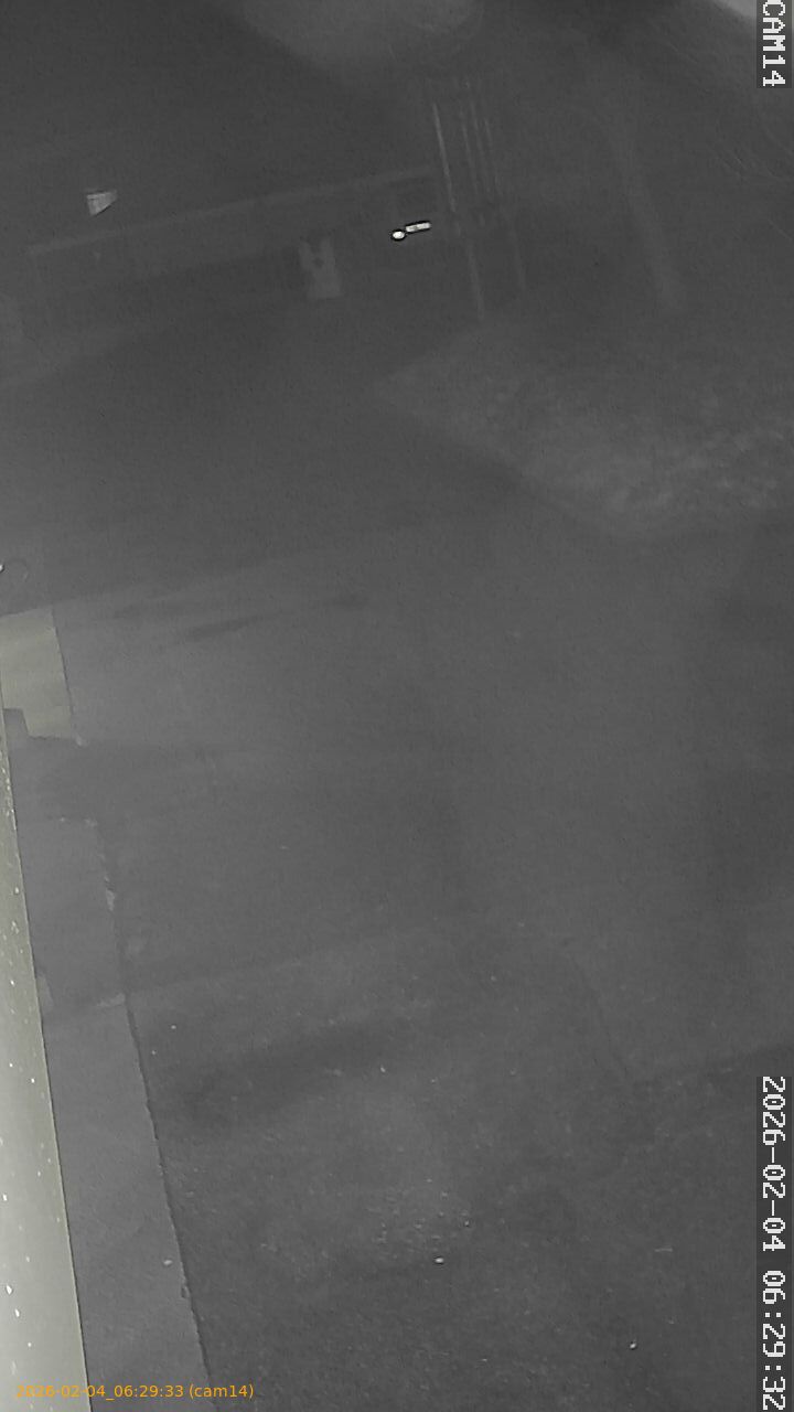 thumbnail_20260204062933