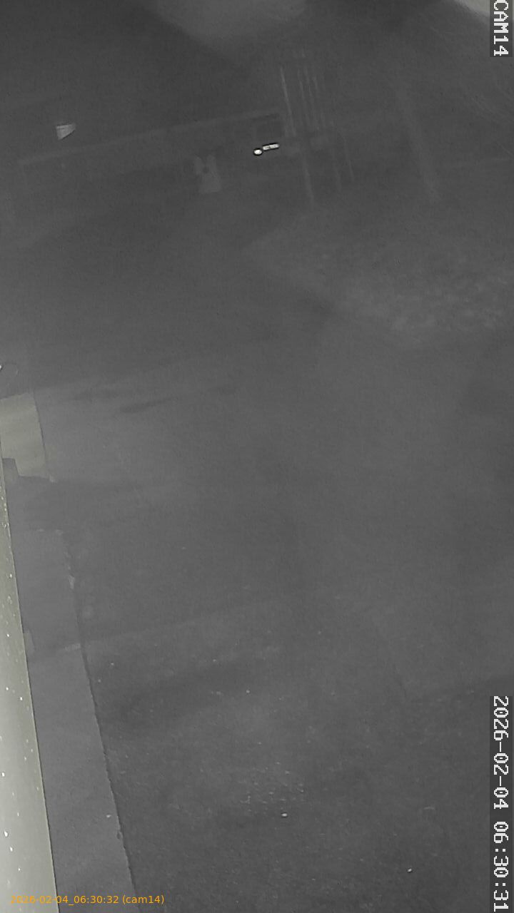 thumbnail_20260204063032