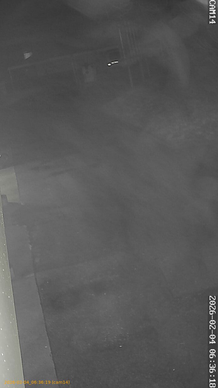 thumbnail_20260204063619