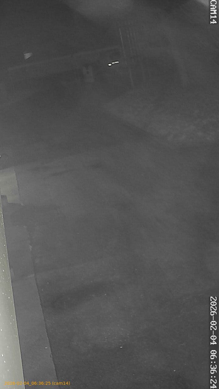 thumbnail_20260204063624