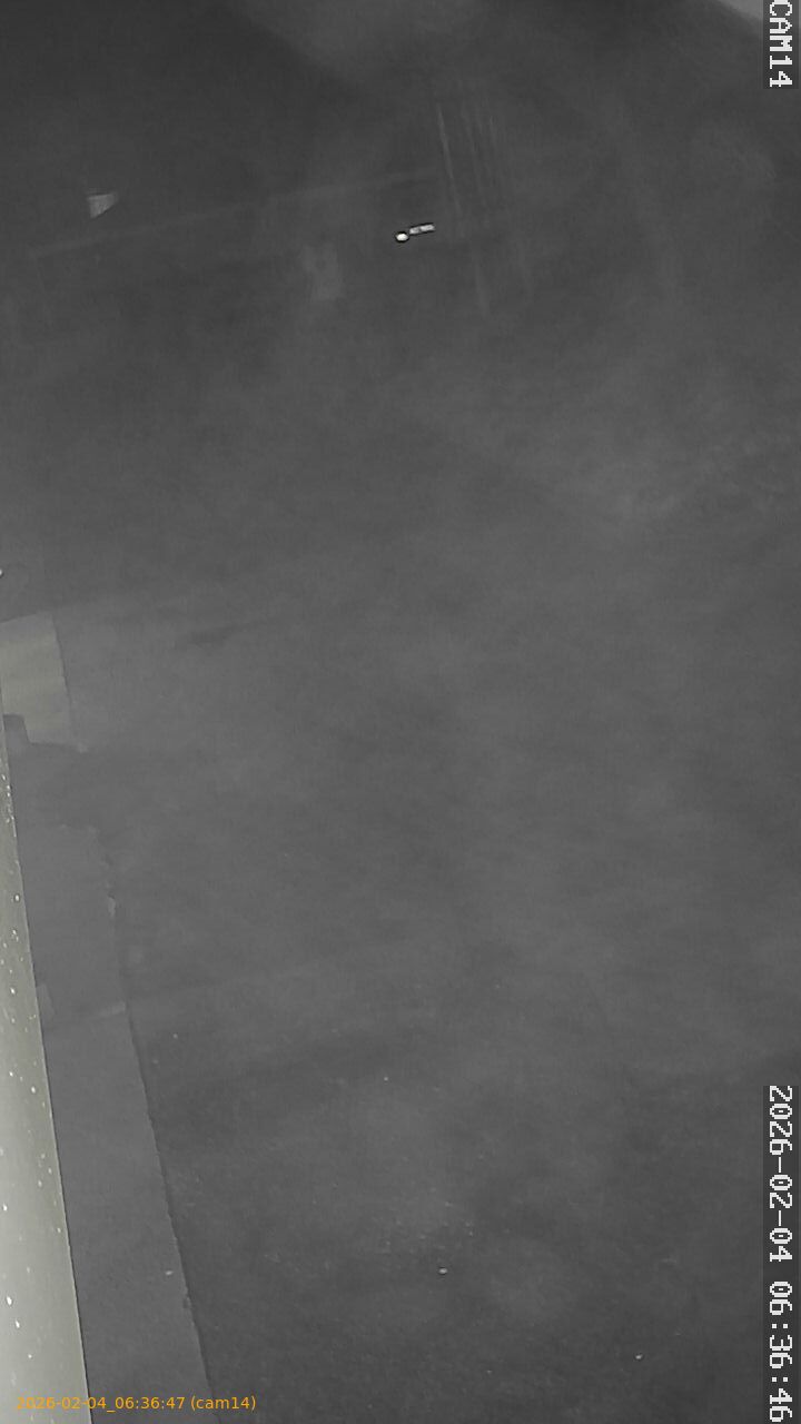 thumbnail_20260204063647