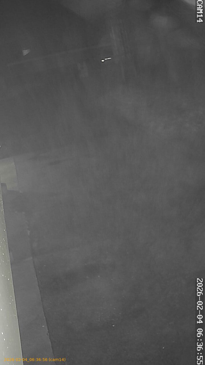 thumbnail_20260204063656