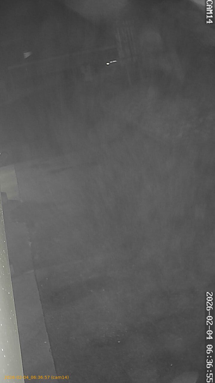 thumbnail_20260204063657