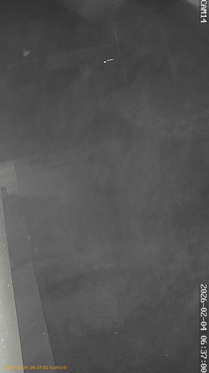 thumbnail_20260204063701