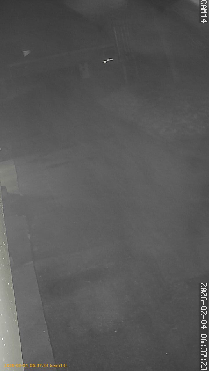 thumbnail_20260204063724