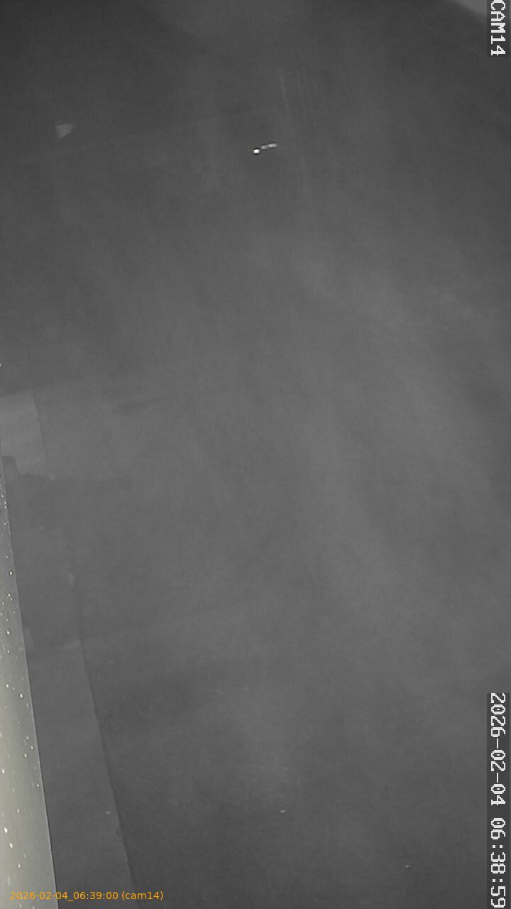 thumbnail_20260204063900