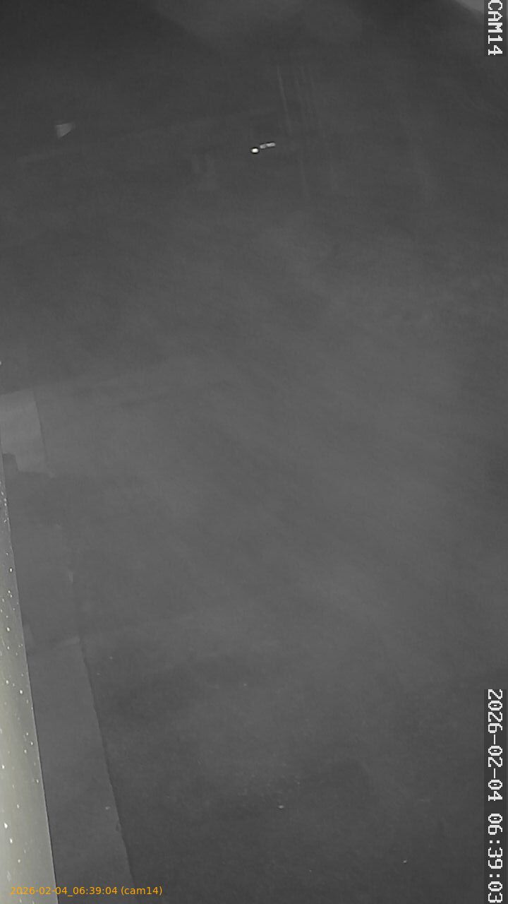 thumbnail_20260204063904