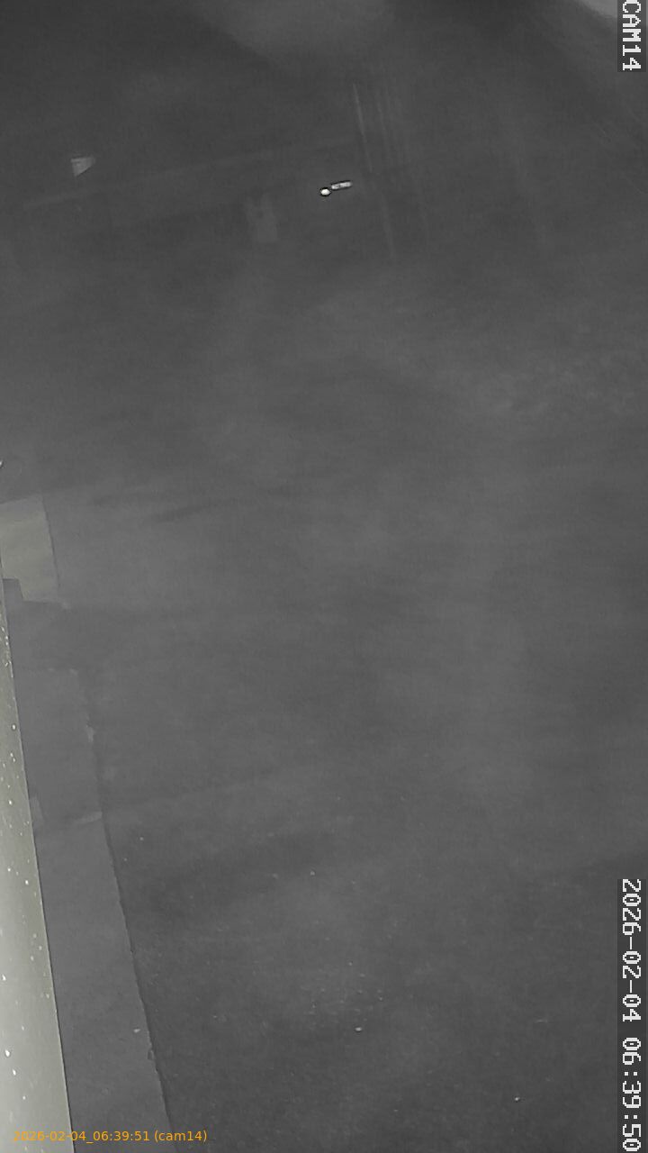 thumbnail_20260204063951