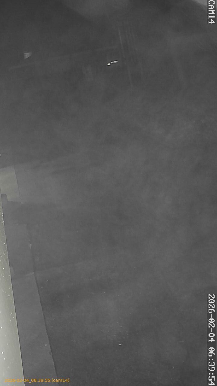 thumbnail_20260204063955