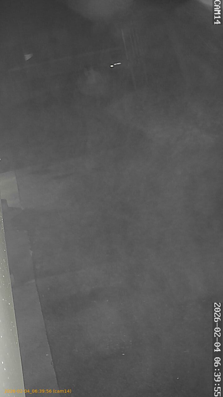 thumbnail_20260204063956