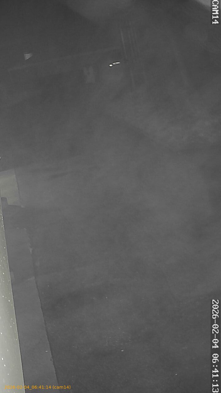 thumbnail_20260204064114